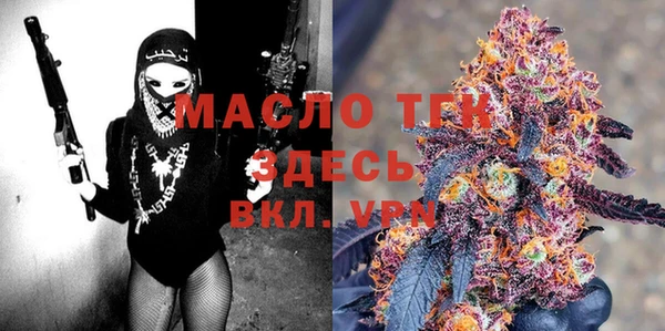 дмт Ельня