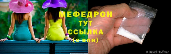 дмт Ельня