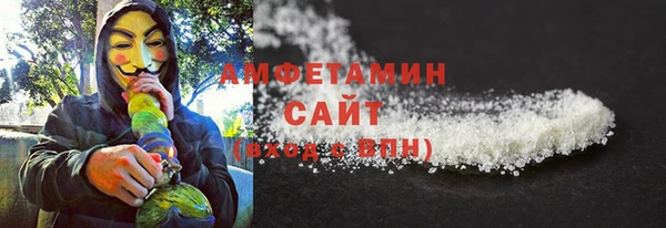 дмт Ельня
