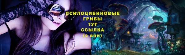 a pvp Заволжск